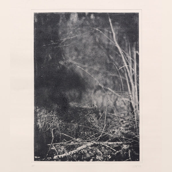 241002|2nd October - 6th November 2024|Printing the EcoGothic: Intaglio Landscapes 2